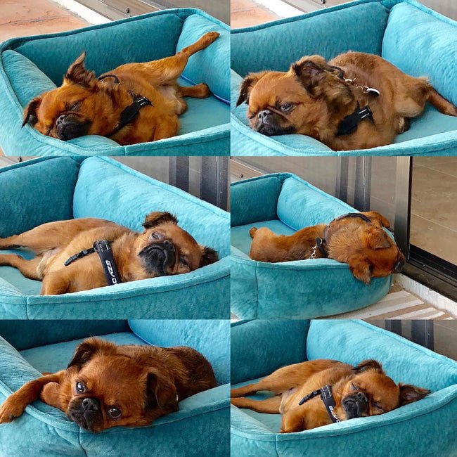 Four Ways to Rest This Summer! 1. Create a comfortable space, - Golden Gift Box