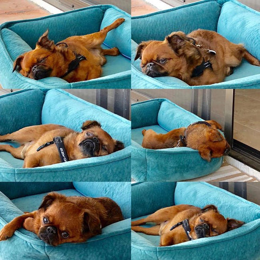 Four Ways to Rest This Summer! 1. Create a comfortable space, - Golden Gift Box