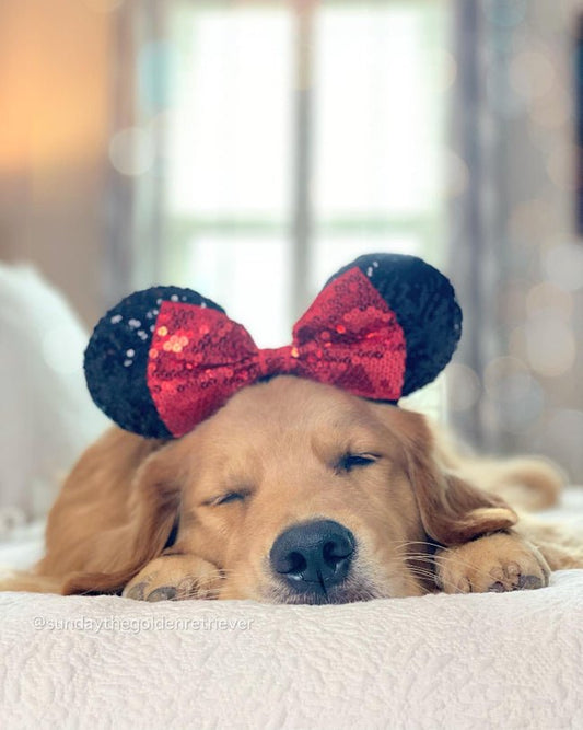 Four Ways to Rest This Summer! 3. Take part in activities that help you relax - Golden Gift Box