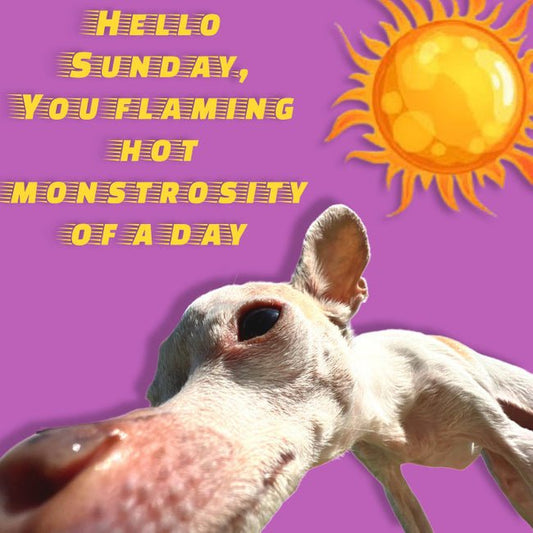 Four Ways to Rest This Summer! 4. Decline invitations and plan - Golden Gift Box