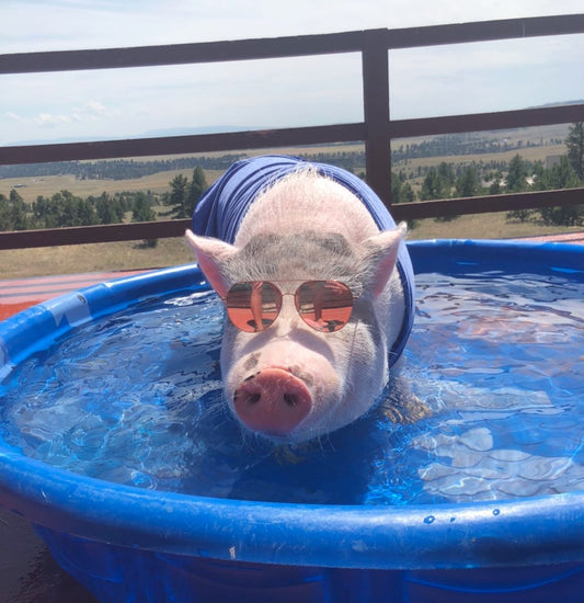 The best form of Rest is Recharging: Identify the activities that give you energy - Golden Gift Box