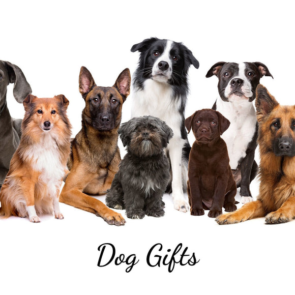 Dog Gifts - Golden Gift Box