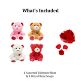 Valentine's Gift Set: Includes Gift Bag With Mini Valentines Card, Plush Teddy Bear, Heart Box of Chocolates, Crispy Wafer Cookies, And Bouquet Of Rose Soap - Perfect Valentine's Day Gifts (Medium)