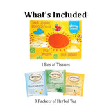 Get Well Cheer Care Package - With Tea and Tissues- Golden Gift Box